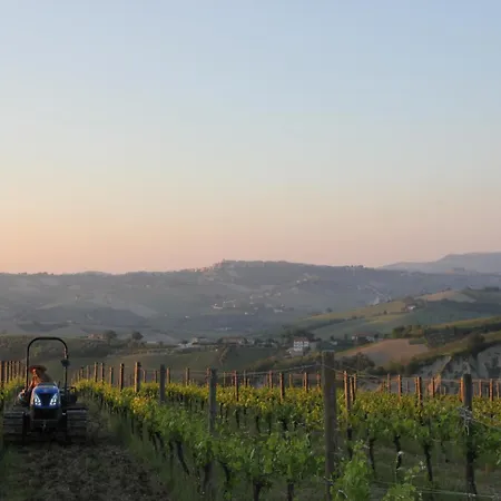 Country house San Michele *