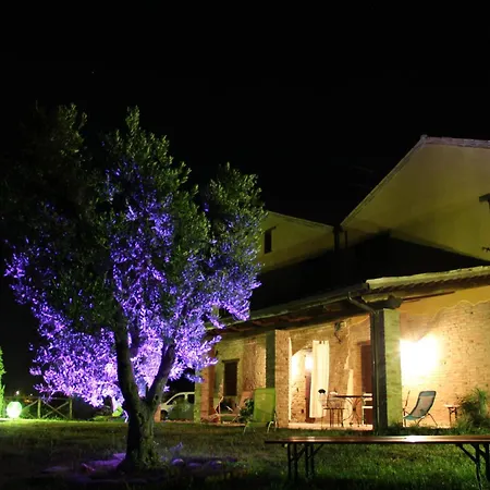 San Michele * Cossignano