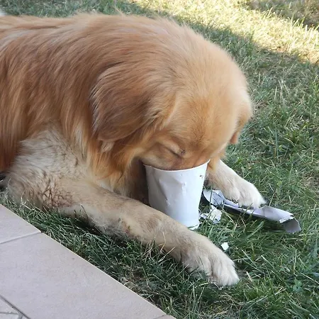 San Michele Cossignano