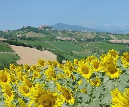 San Michele Casa rural *